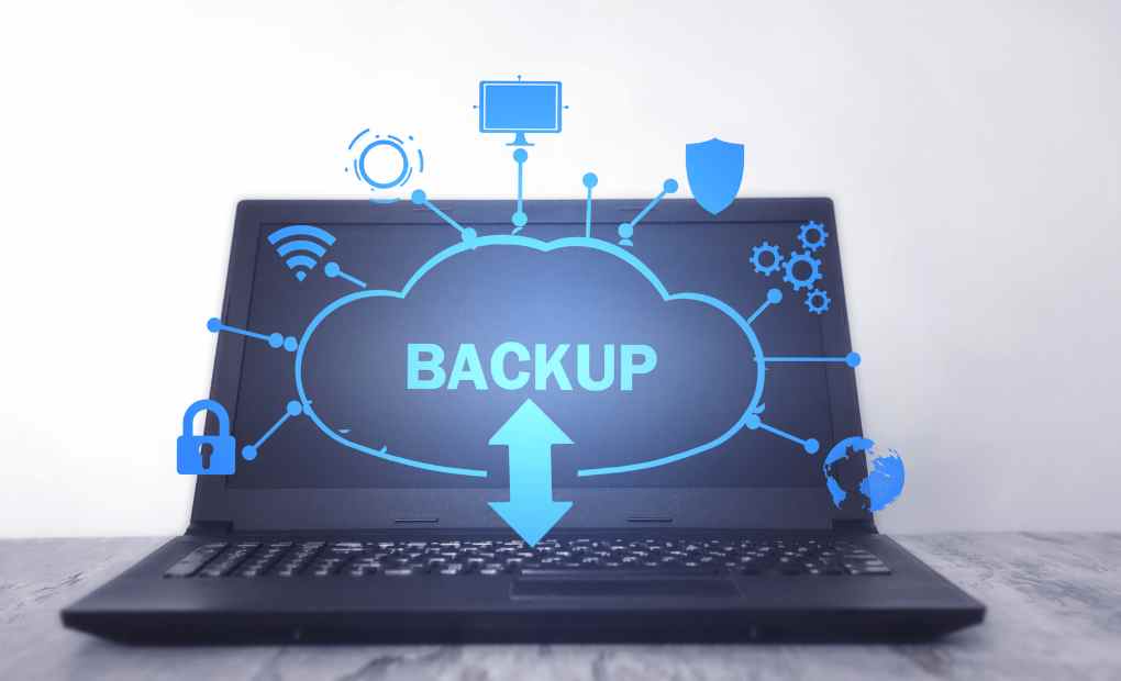 Differences Between Backup and Replicated Data